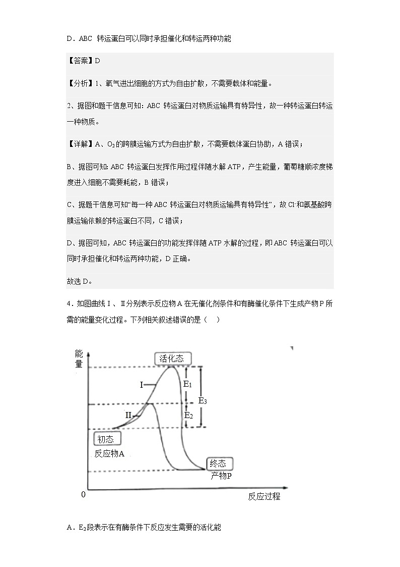 2022-2023学年江苏省扬州中学高三10月月考生物试题含解析第3页