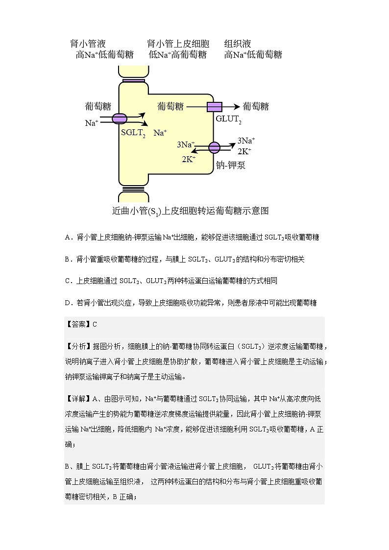 2023届河北省示范性高中高三9月月考生物试题含解析第3页