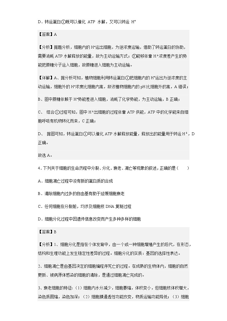 2022-2023学年重庆市缙云教育联盟高三9月月度质量检测生物试题含解析03