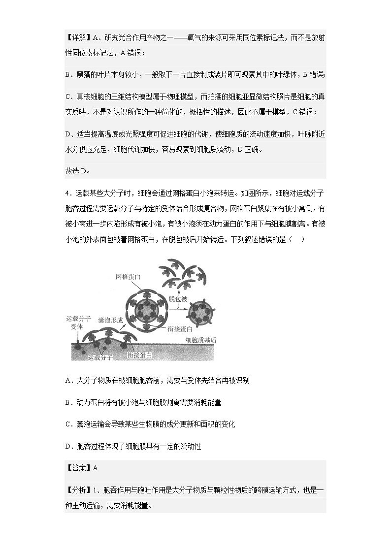 2023届河南省新未来高三9月联考生物试题含解析03