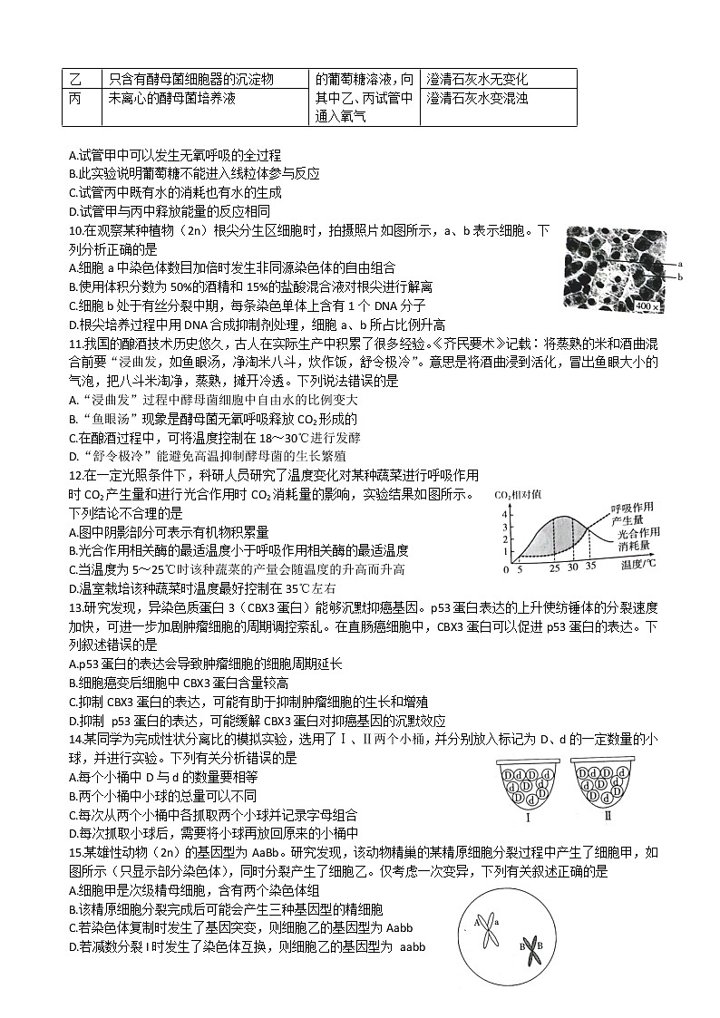 2023届山东省高三上学期10月百校联考生物试题含答案03