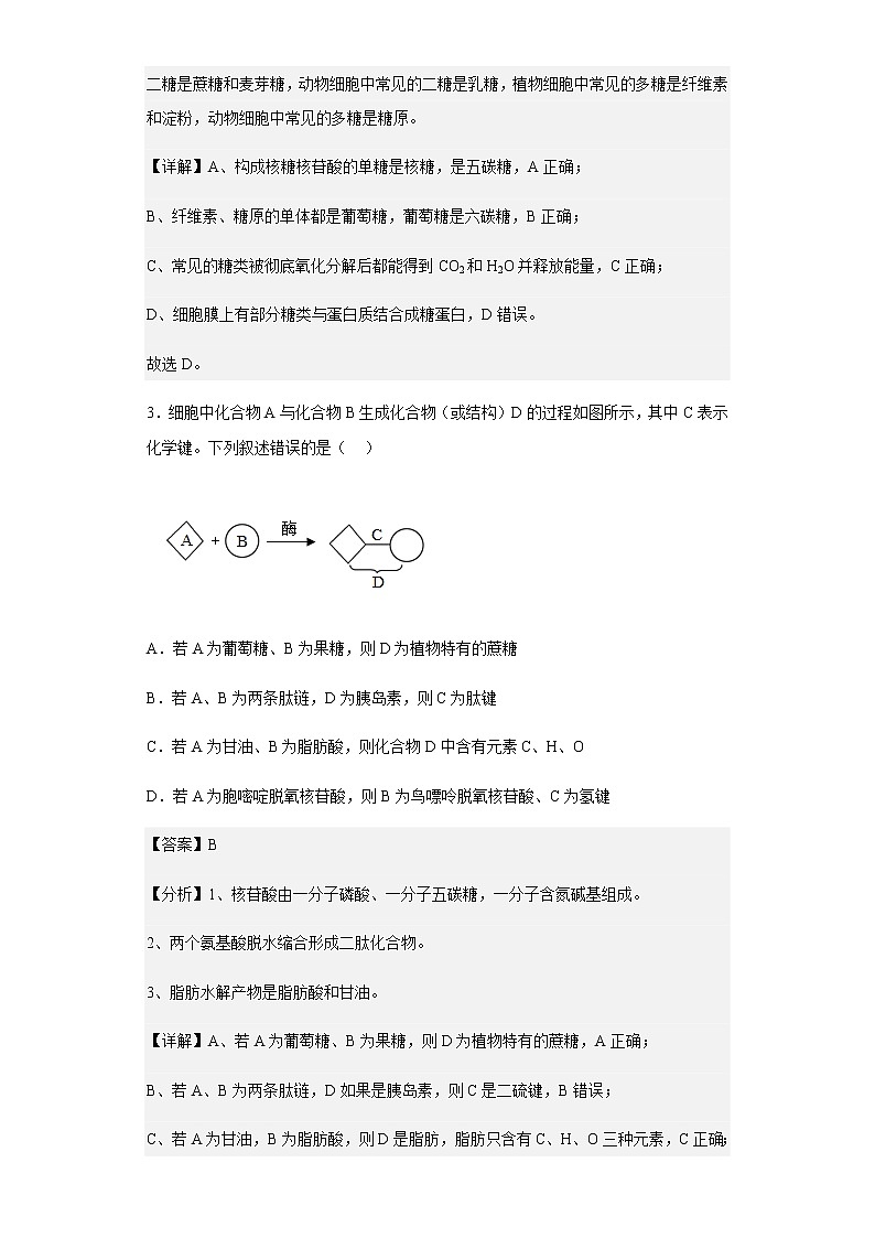 2022-2023学年福建省百校联考高三上学期第一次联考生物试题含解析02