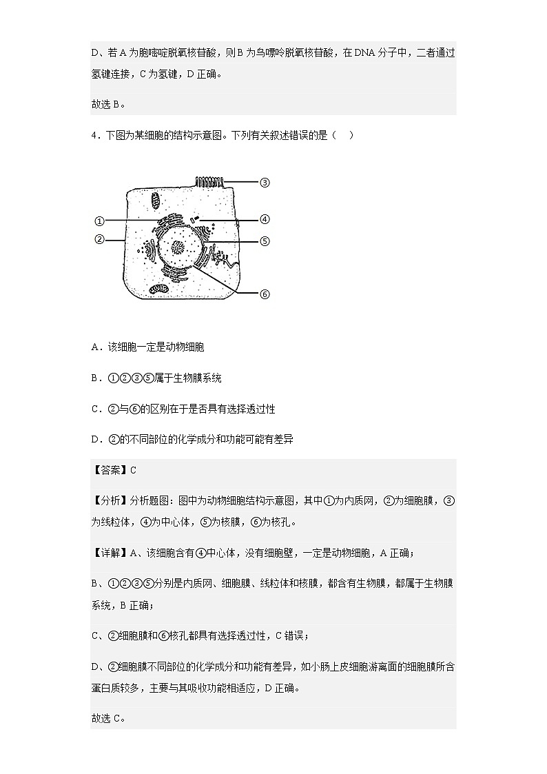 2022-2023学年福建省百校联考高三上学期第一次联考生物试题含解析03