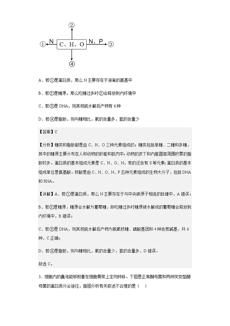 2022-2023学年广东省惠州市三校高三上学期第一次质量检测生物试题含解析02