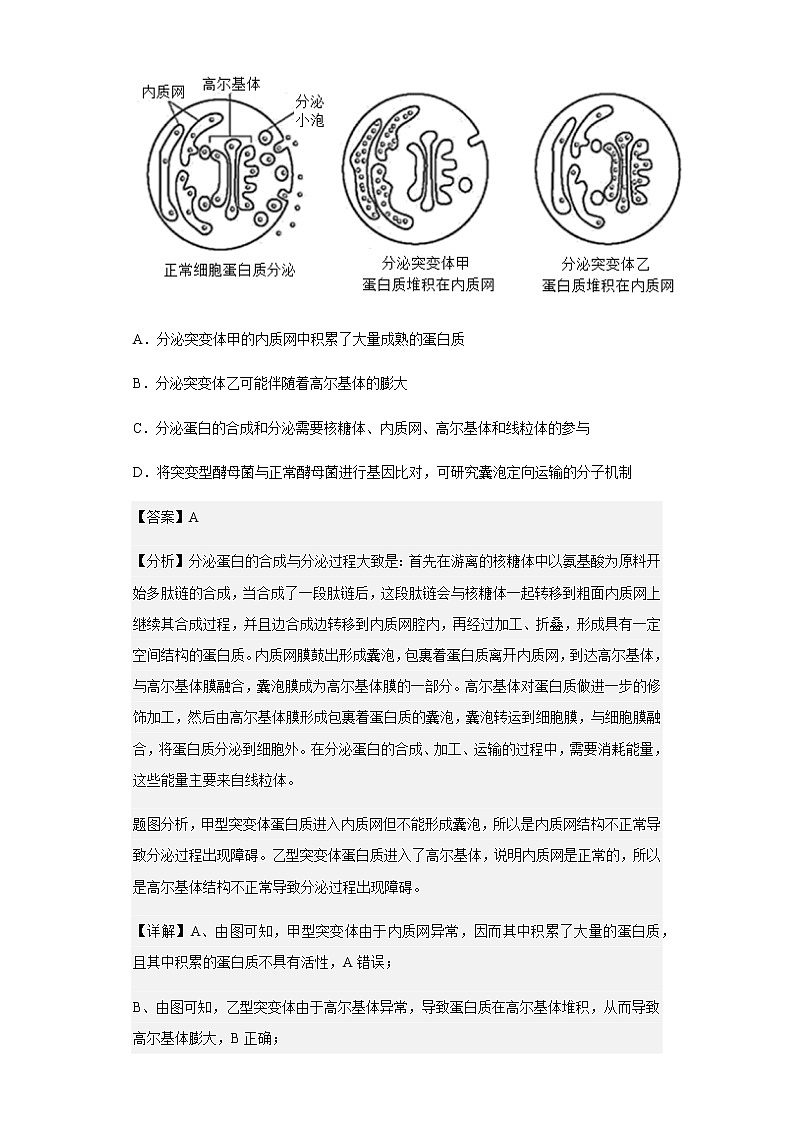 2022-2023学年广东省惠州市三校高三上学期第一次质量检测生物试题含解析03