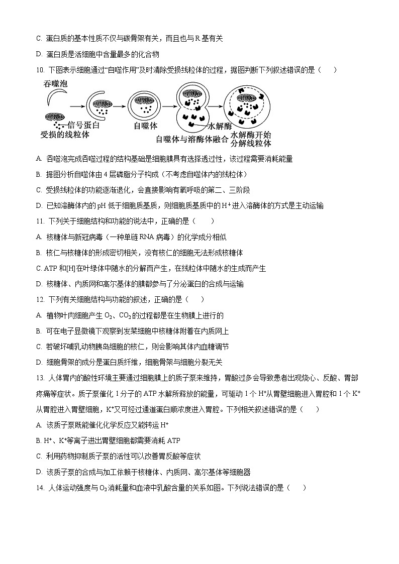 新疆乌鲁木齐市第八中学2022-2023学年高三上学期第一次月考生物试题无答案第3页