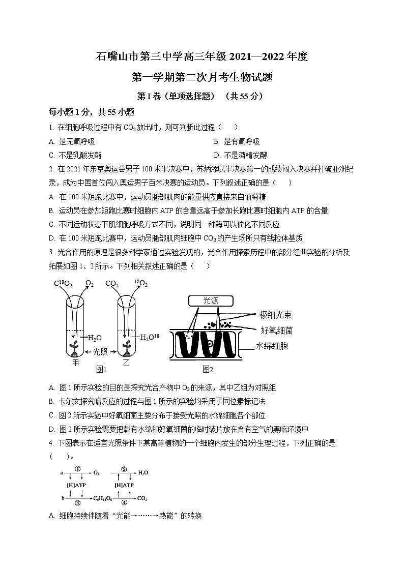 宁夏回族自治区石嘴山市三中2021-2022学年高三上学期第二次月考生物试题无答案第1页
