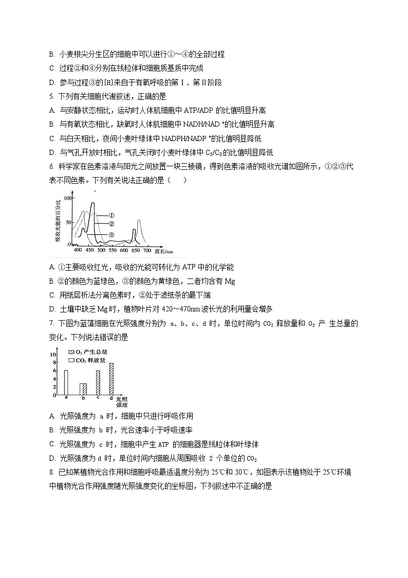 宁夏回族自治区石嘴山市三中2021-2022学年高三上学期第二次月考生物试题无答案第2页