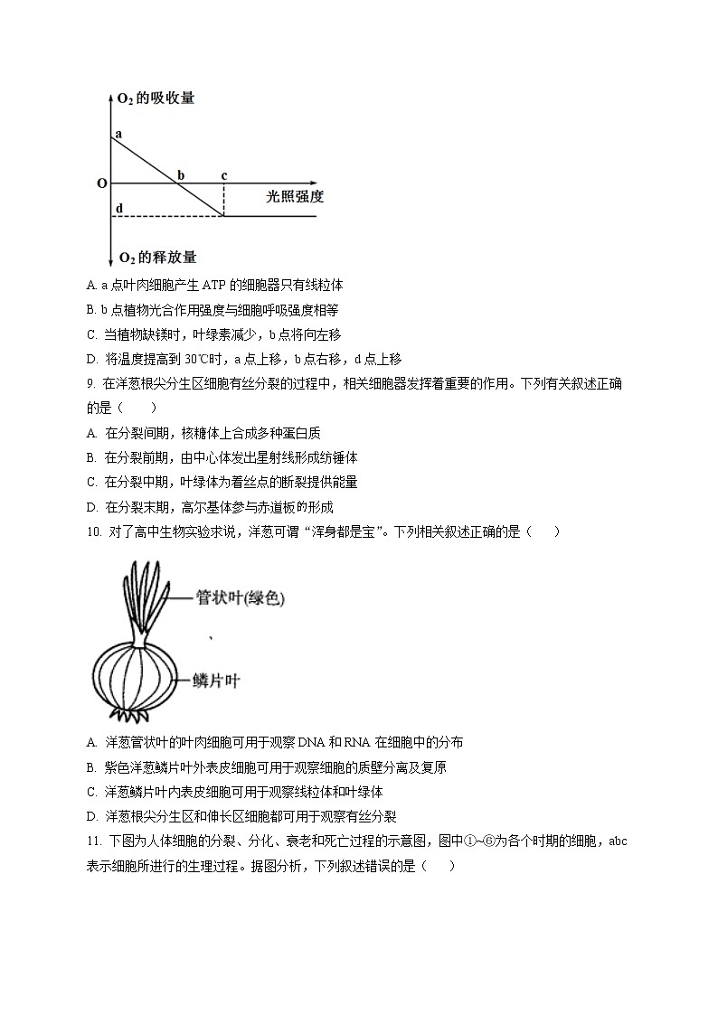 宁夏回族自治区石嘴山市三中2021-2022学年高三上学期第二次月考生物试题无答案第3页