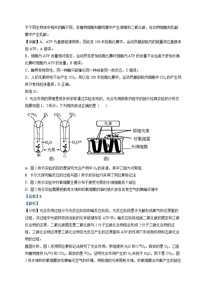 宁夏回族自治区石嘴山市三中2021-2022学年高三上学期第二次月考生物试题含解析第2页