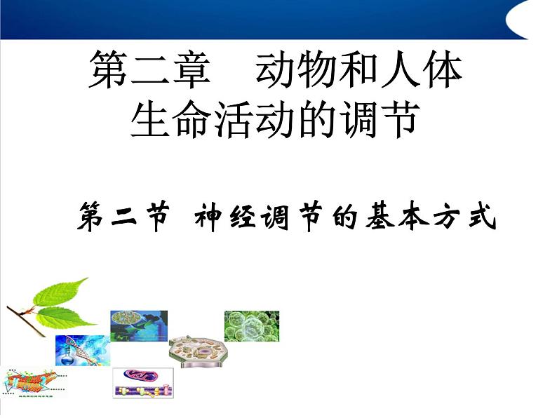 高中生物精品课件2.2神经调节的基本方式第1页