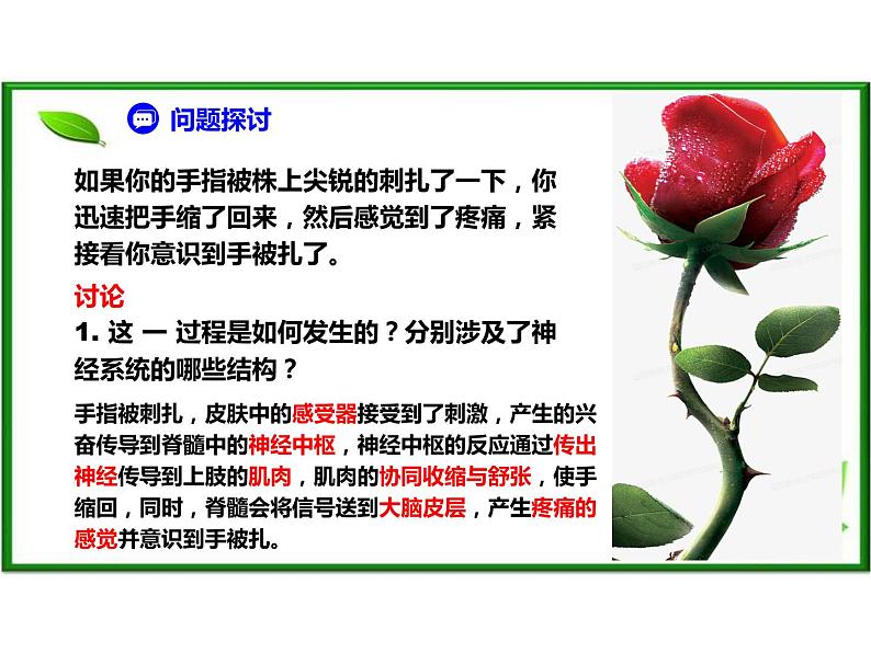 高中生物精品课件2.2神经调节的基本方式第2页