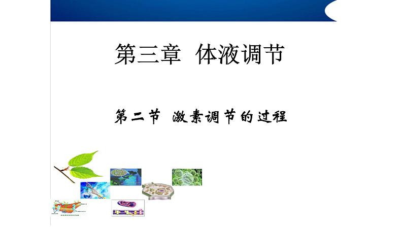 高中生物精品课件 3.2激素调节的过程(第2课时)第2页