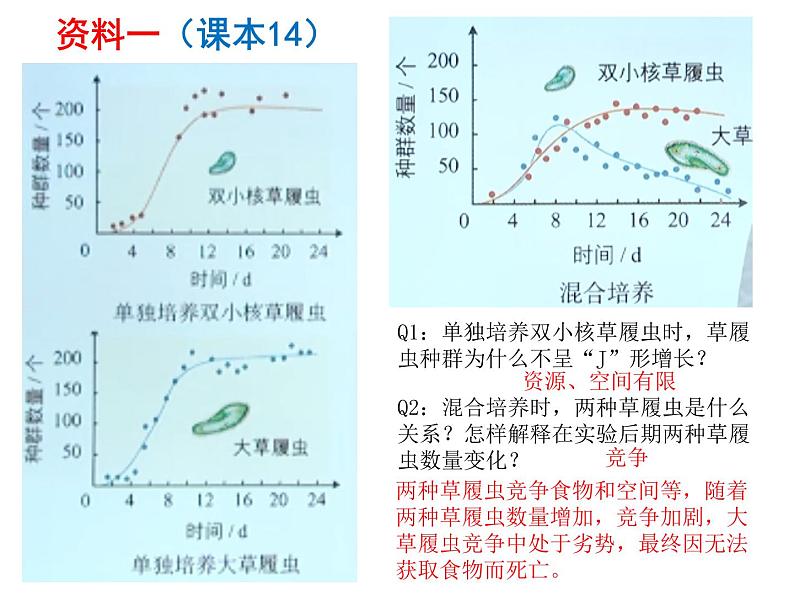 高中生物精品课件 1.3影响种群数量变化的因素第2页