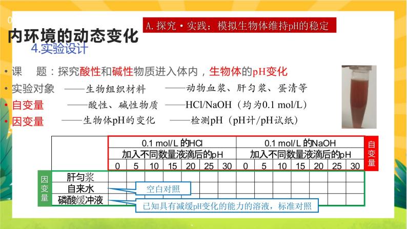 1.2内环境的稳态（课件PPT）06