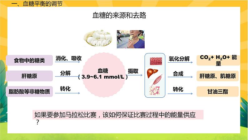 3.2 激素调节的过程(课件PPT)04
