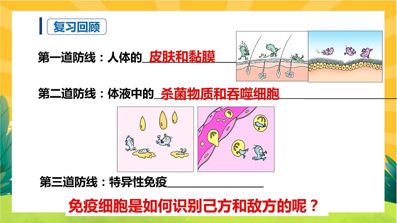 4.2 特异性免疫(课件PPT)第3页
