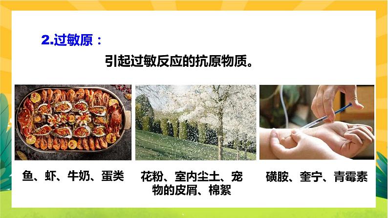 4.3免疫失调(课件PPT)第5页