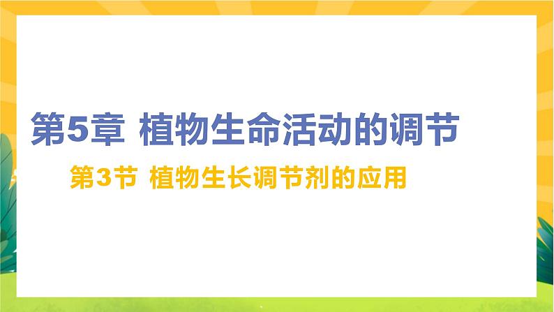 5.3 植物生长调节剂的应用(课件PPT)01