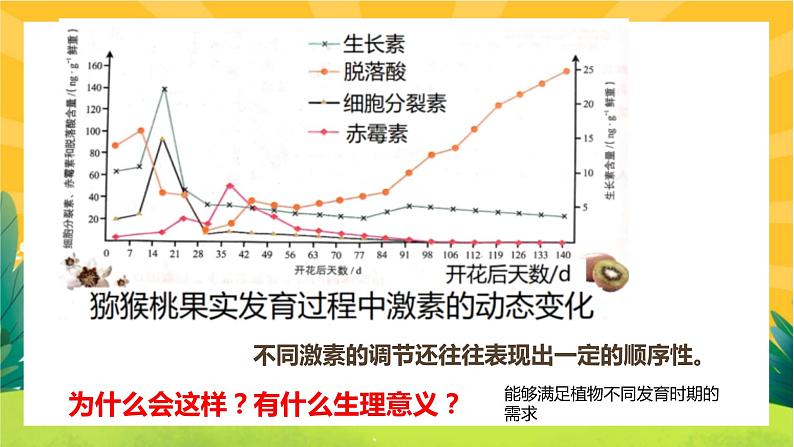 5.3 植物生长调节剂的应用(课件PPT)03
