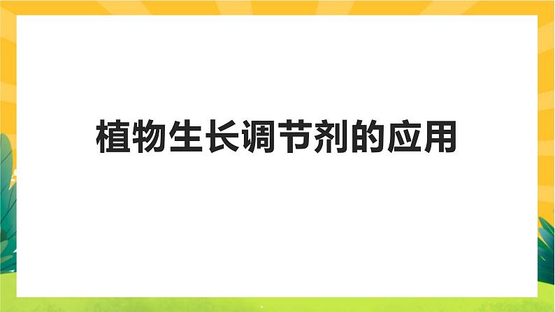 5.3 植物生长调节剂的应用(课件PPT)04