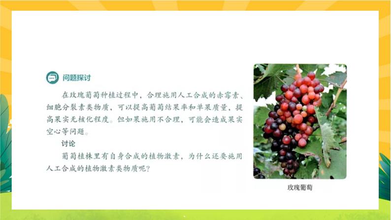 5.3 植物生长调节剂的应用(课件PPT)05