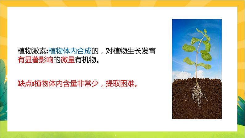 5.3 植物生长调节剂的应用(课件PPT)06