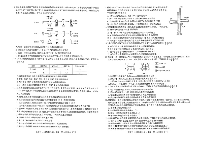 九师联盟2023届高三上学期11月质量检测(老高考)生物试题+PDF版含答案第2页