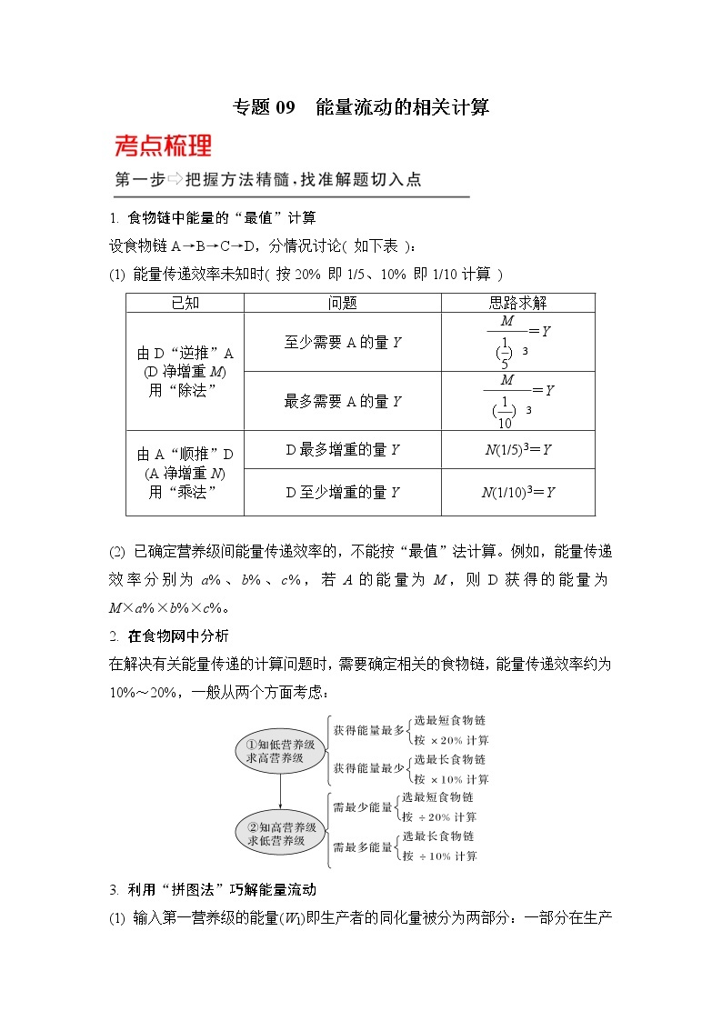 高中生物专题09 能量流动的相关计算-备战2021年高考生物核心考点透析（无答案）01