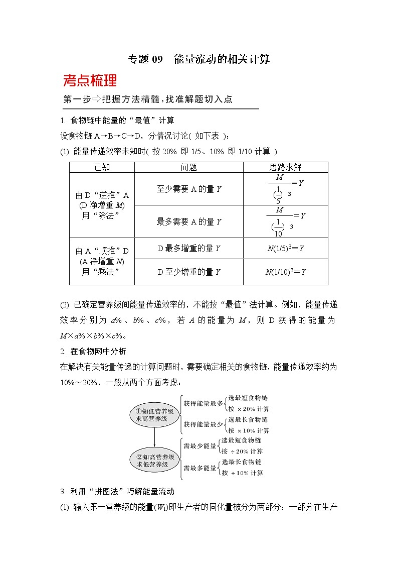 高中生物专题09 能量流动的相关计算-备战2021年高考生物核心考点透析(无答案)01