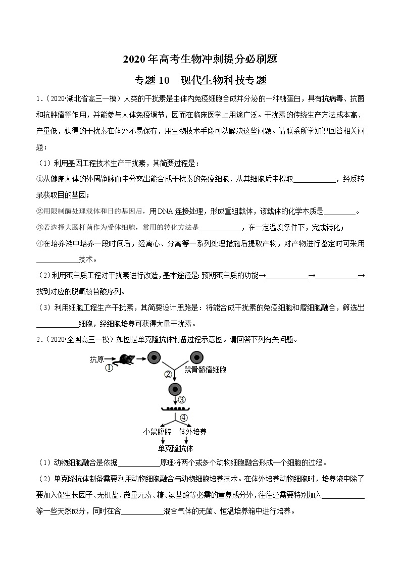 高中生物专题10 现代生物科技专题（无答案）01