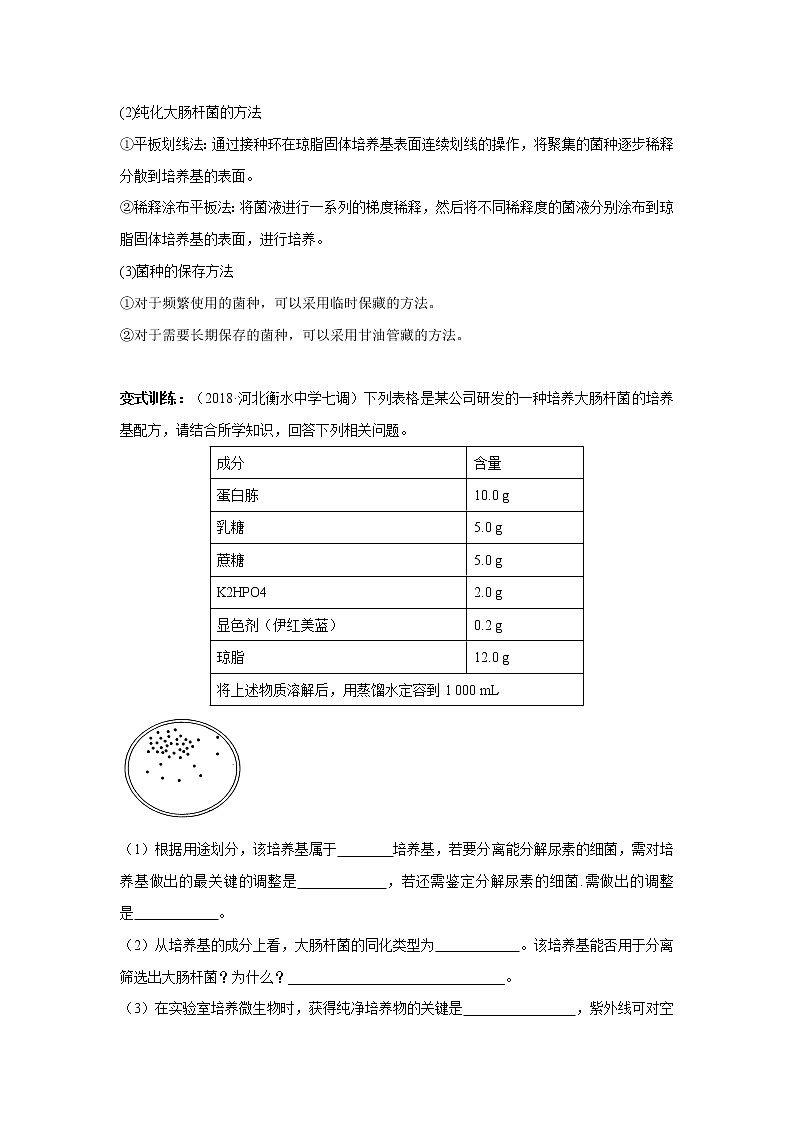 高中生物专题12 微生物的培养和应用(无答案)02