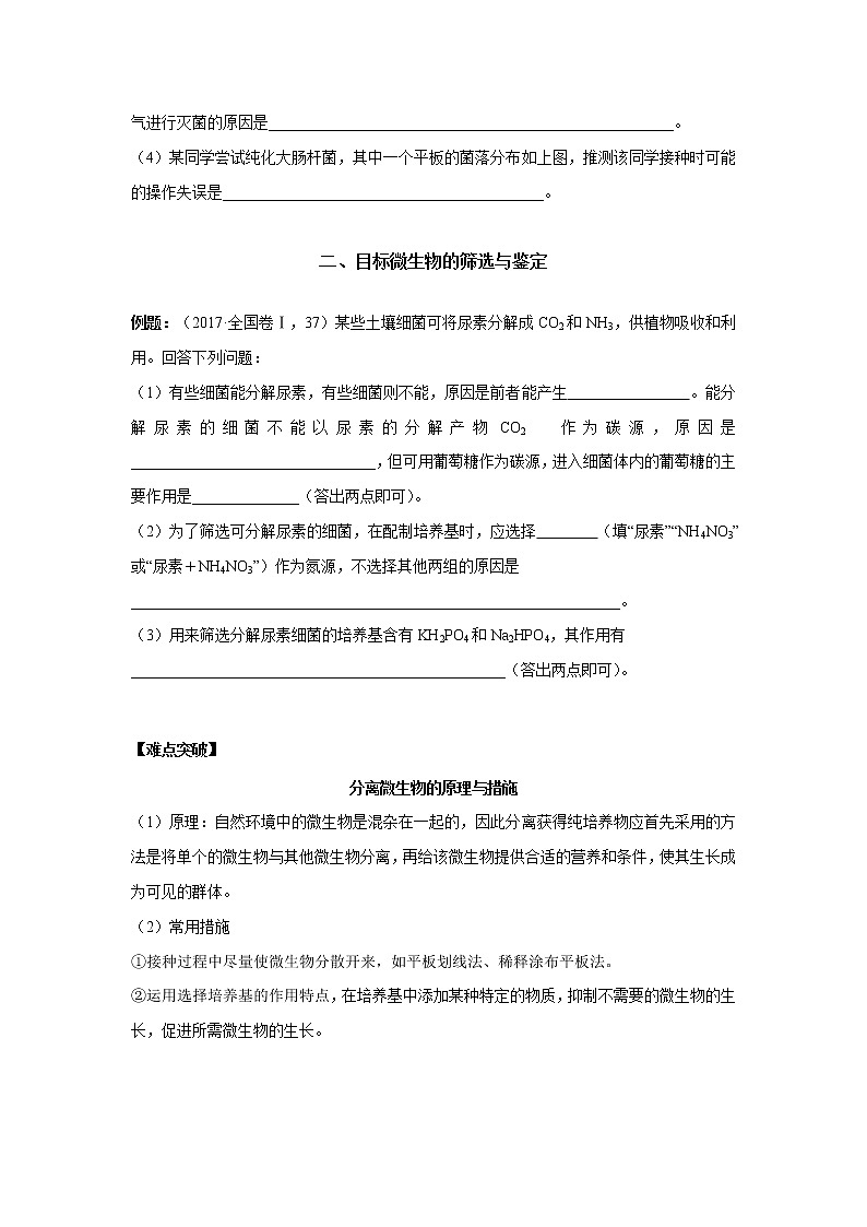 高中生物专题12 微生物的培养和应用(无答案)03