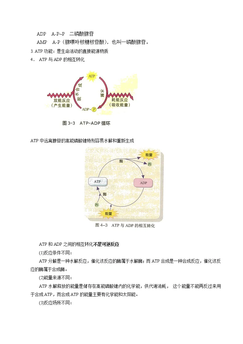 高中生物专题05 细胞的能量供应和利用-2021年高考生物一轮复习知识点梳理与归纳第2页