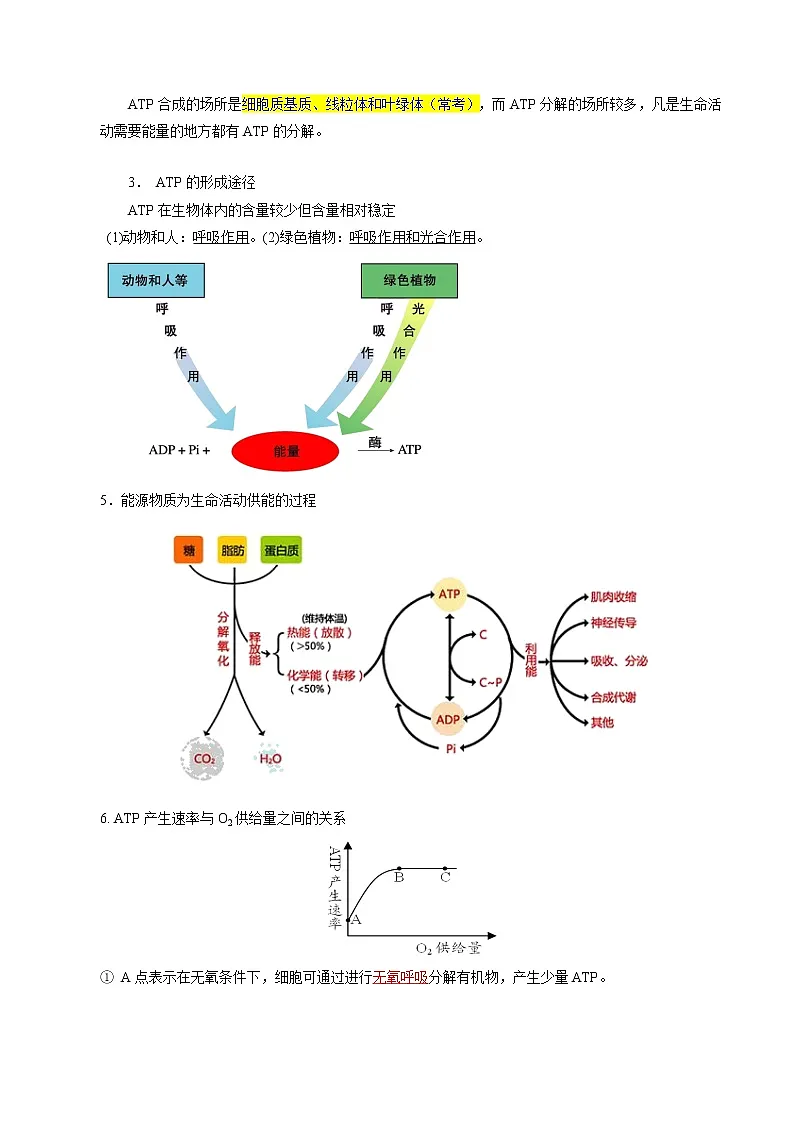 高中生物专题05 细胞的能量供应和利用-2021年高考生物一轮复习知识点梳理与归纳第3页