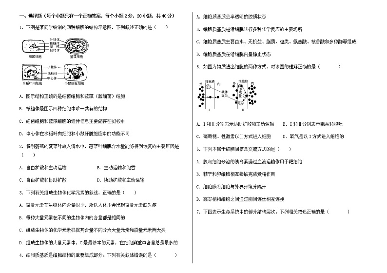 天津市八校联考2022-2023学年高一上学期期中考试生物试卷第1页