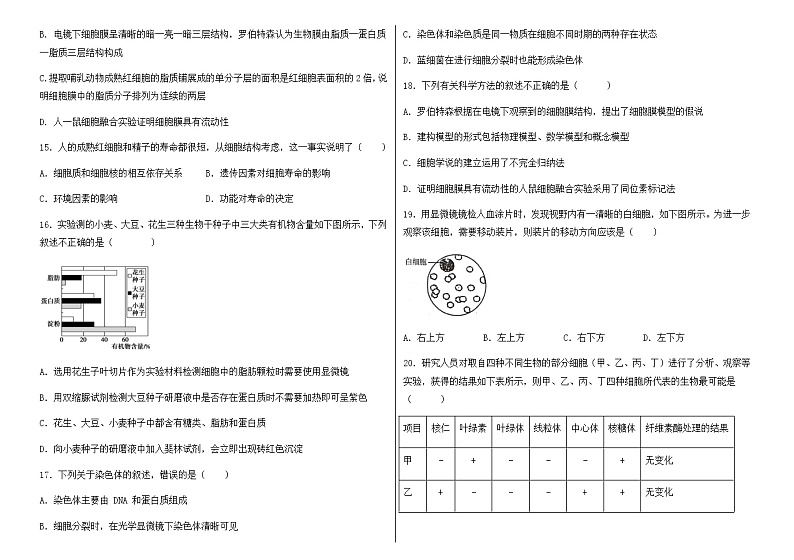 天津市八校联考2022-2023学年高一上学期期中考试生物试卷第3页
