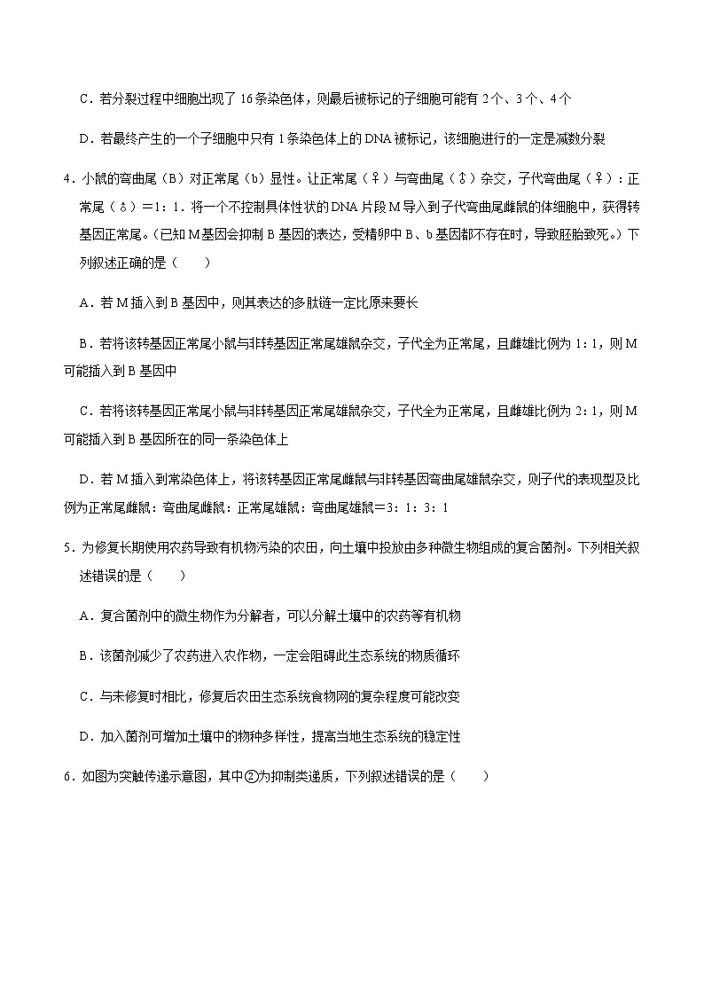 高中生物黄金卷04-【赢在高考•黄金20卷】备战2021高考生物全真模拟卷(新课标)(无答案)第2页