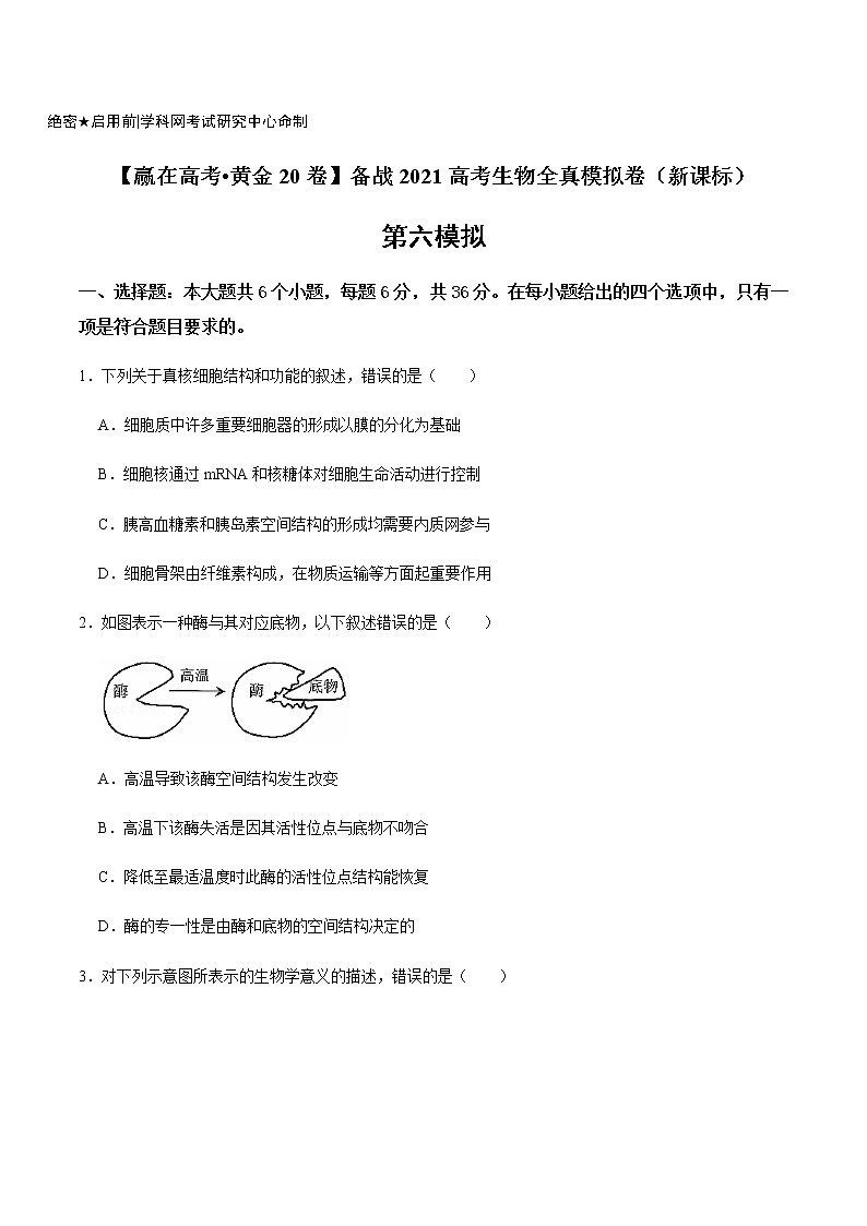 高中生物黄金卷06-【赢在高考•黄金20卷】备战2021高考生物全真模拟卷(新课标)(无答案)第1页