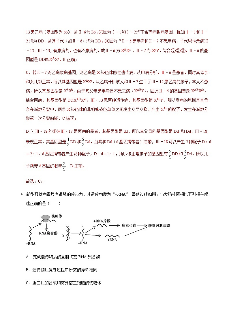 高中生物黄金卷09-【赢在高考•黄金20卷】备战2021高考生物全真模拟卷(新课标)(有答案)第3页