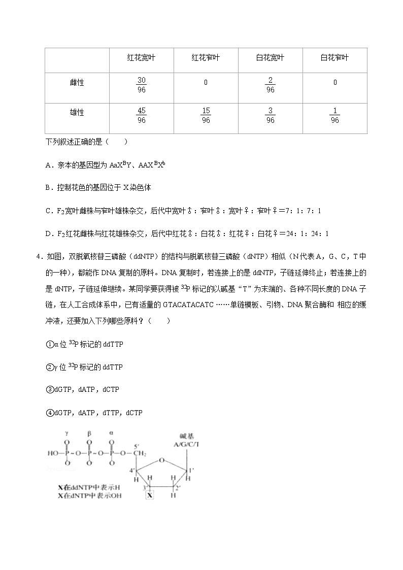 高中生物黄金卷10-【赢在高考•黄金20卷】备战2021高考生物全真模拟卷(新课标)(无答案)第2页