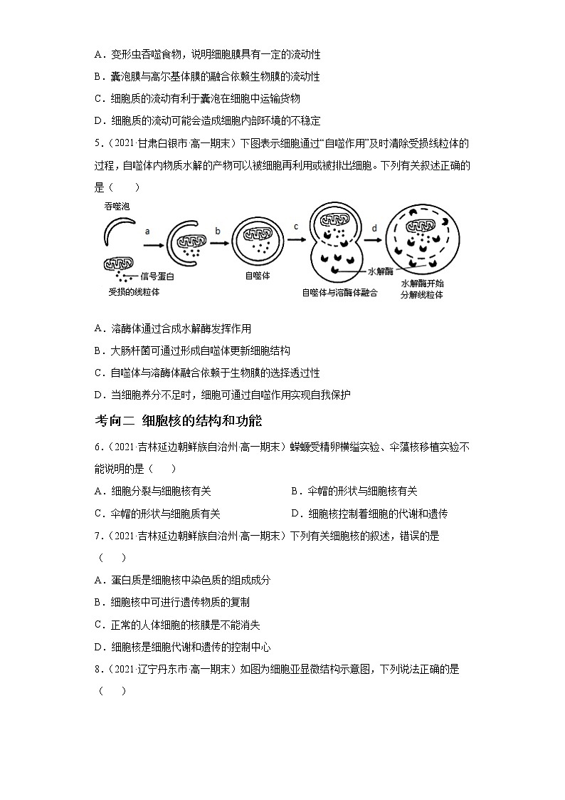 高中生物解密02 细胞器与生物膜系统(分层训练)(无答案)第2页