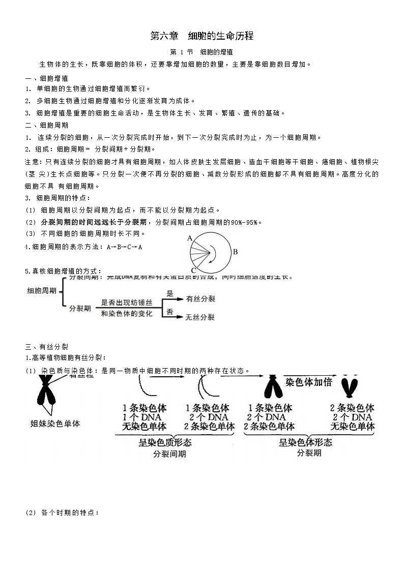 第六章 细胞的生命历程(知识点归纳)01
