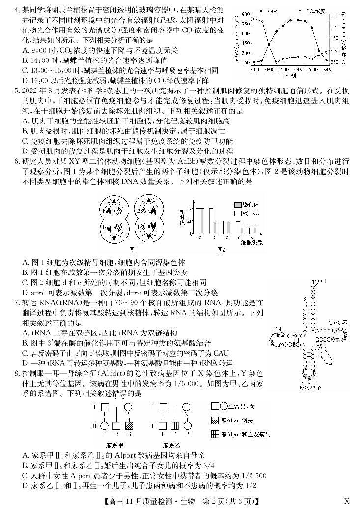 安徽省九师联盟2022-2023学年高三上学期第二次模拟考试生物试题及答案02