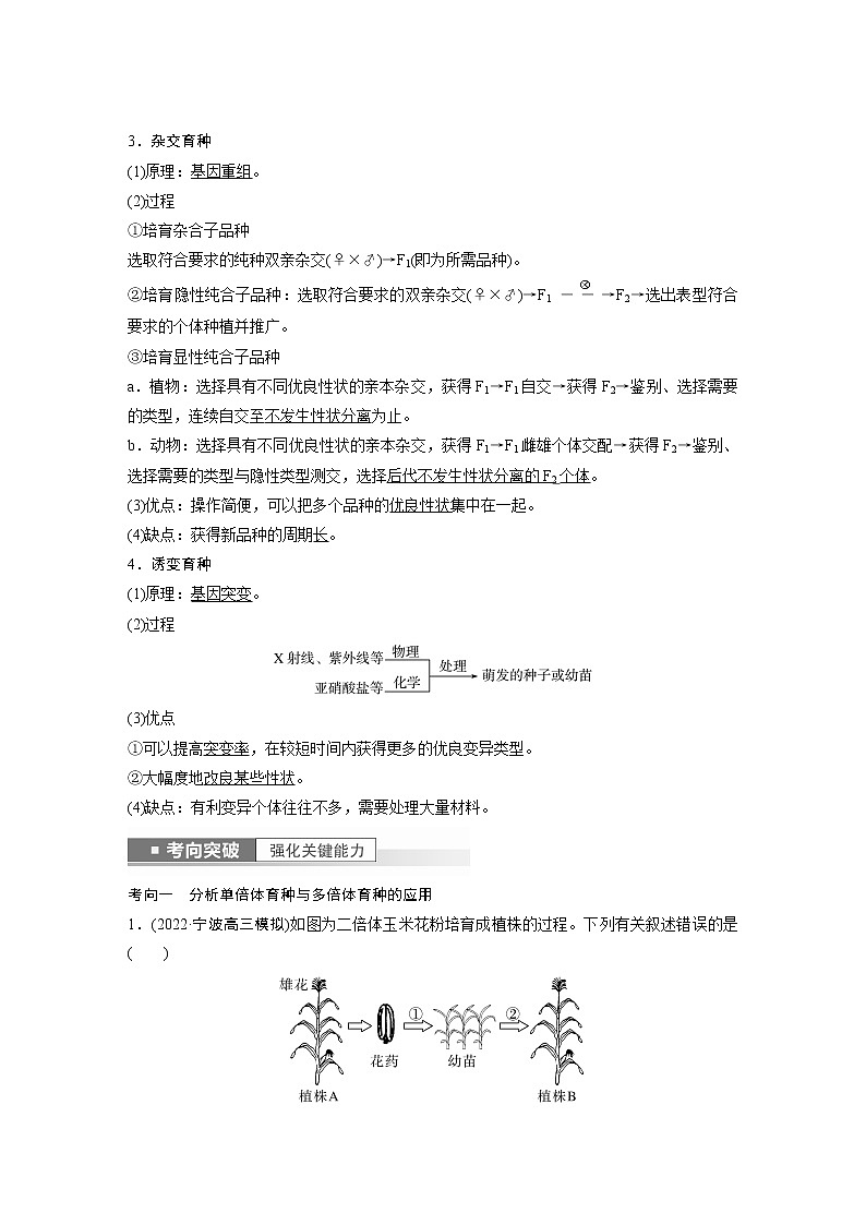 高中生物2023年高考生物一轮复习(新人教新高考) 第7单元 第3课时 生物变异在育种上的应用第2页