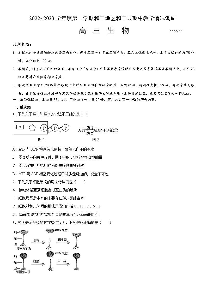 2023维吾尔自治区和田地区和田县高三上学期11月期中考试生物含答案01