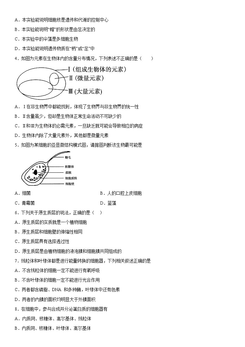 2023维吾尔自治区和田地区和田县高三上学期11月期中考试生物含答案02