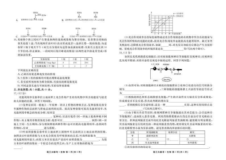 2023届湖南省衡水金卷先享联盟 高三上学期11月联考试题 生物 PDF版第3页