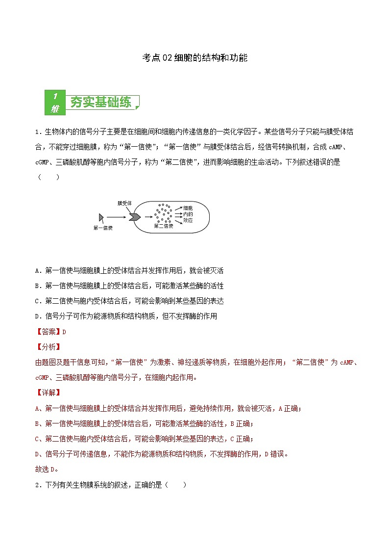 高中生物考點(diǎn)02 細(xì)胞的結(jié)構(gòu)和功能-2022年高考生物一輪復(fù)習(xí)小題多維練（新高考專用）（有答案）第1頁(yè)