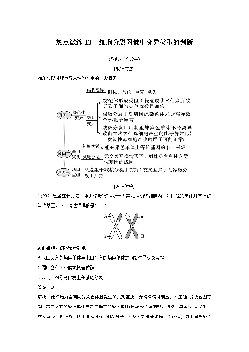 高中生物热点微练13 二轮专题细胞分裂图像中变异类型的判断第1页